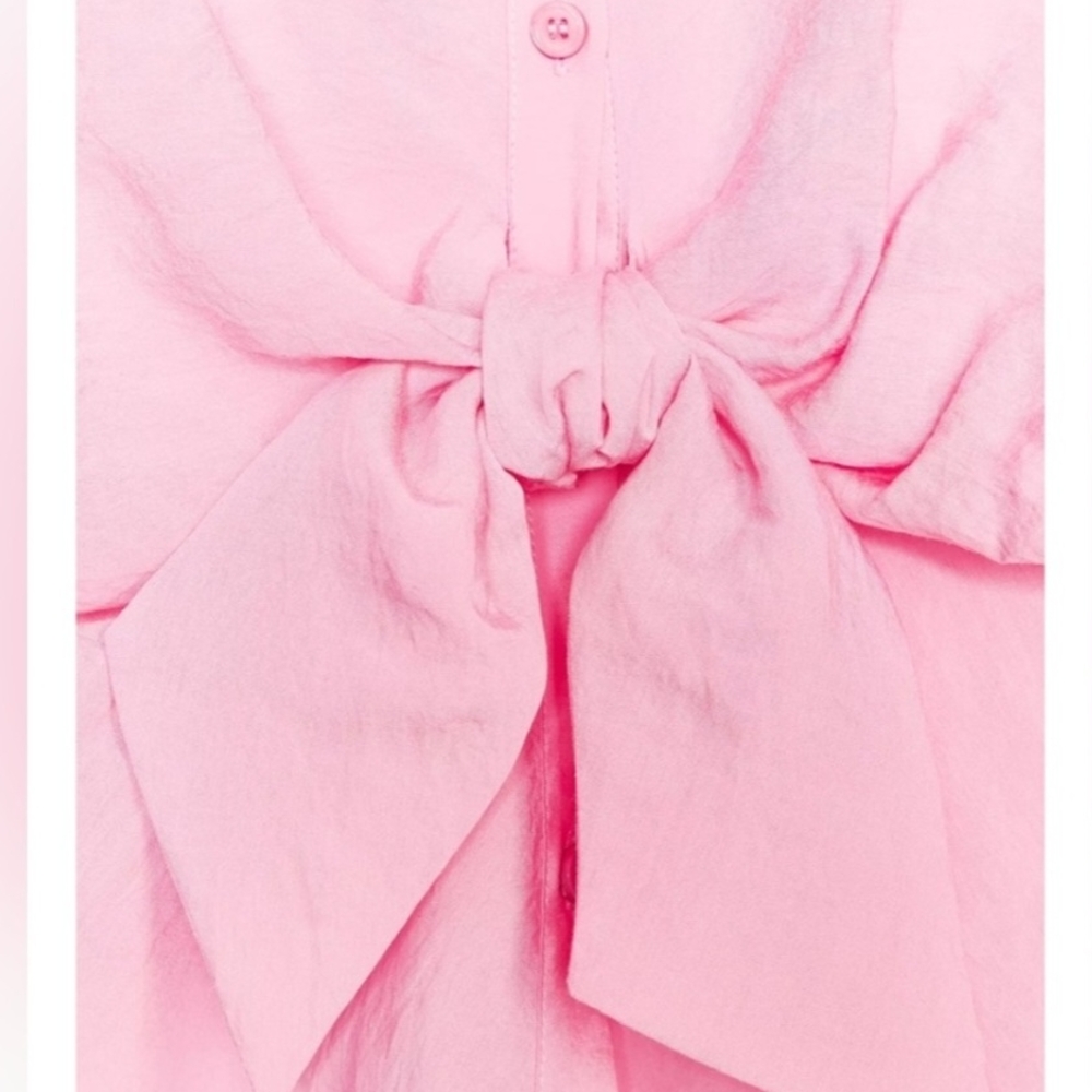 Zara Pink Blouse - Picture 8 of 8